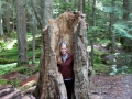 blog_glacier_trail of the cedars-11