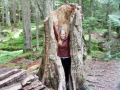 blog_glacier_trail of the cedars-12