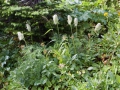 blog_glacier_logan pass-11