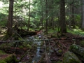 blog_glacier_avalanche lake-18