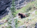 blog_glacier_grinnell lake-26