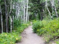 blog_glacier_red rocks lake-1