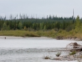 blog_glacier_polebridge-19