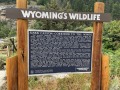 Wyoming-RdTrip-I80-149